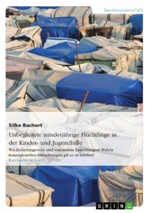 Unbegleitete minderjährige Flüchtlinge in der Kinder- und Jugendhilfe