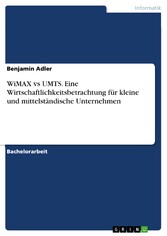 WiMAX vs UMTS. Eine Wirtschaftlichkeitsbetrachtung für kleine und mittelständische Unternehmen