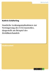 Staatliche Lenkungsmaßnahmen zur Verringerung des CO2-Ausstoßes, dargestellt am Beispiel des Zertifikatehandels