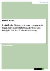 Individuelle Eingangsvoraussetzungen von Jugendlichen als Determinanten für den Erfolg in der beruflichen Ausbildung