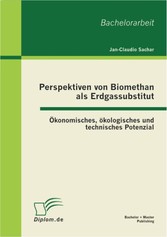 Perspektiven von Biomethan als Erdgassubstitut: Ökonomisches, ökologisches und technisches Potenzial