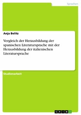 Vergleich der Herausbildung der spanischen Literatursprache mit der Herausbildung der italienischen Literatursprache