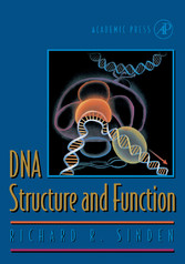 DNA Structure and Function