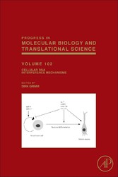 Cellular RNA Interference Mechanisms