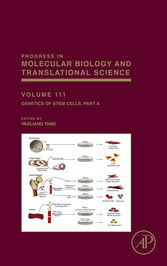 Genetics of Stem Cells