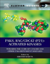 PAKs, RAC/CDC42 (p21)-activated Kinases