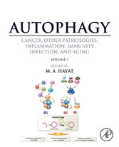 Autophagy: Cancer, Other Pathologies, Inflammation, Immunity, Infection, and Aging