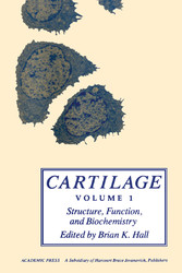 Cartilage V1