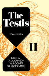 The Testis