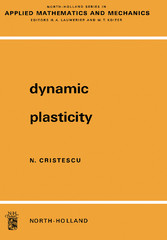 Dynamic Plasticity