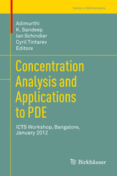 Concentration Analysis and Applications to PDE