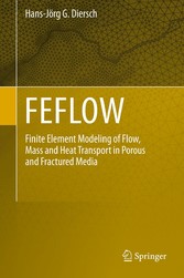 FEFLOW