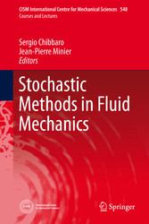 Stochastic Methods in Fluid Mechanics