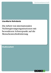 Die Arbeit von internationalen Nichtregierungsorganisationen mit besonderem Schwerpunkt auf die Menschenrechtsförderung