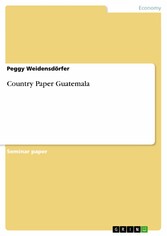 Country Paper Guatemala