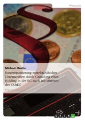 Steueroptimierung mittelständischer Unternehmen durch Gründung einer Holding in der EG nach Inkrafttreten des SEStEG