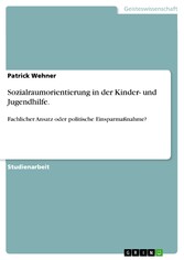 Sozialraumorientierung in der Kinder- und Jugendhilfe.