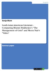 South Asian American Literature - Comparing Bharati Mukherjee's 'The Management of Grief' and Meera Nair's 'Video'