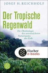 Der tropische Regenwald