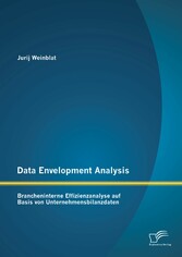 Data Envelopment Analysis - Brancheninterne Effizienzanalyse auf Basis von Unternehmensbilanzdaten