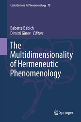 The Multidimensionality of Hermeneutic Phenomenology