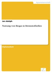 Nutzung von Biogas in Brennstoffzellen