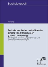 Bedarfsorientierter und effizienter Einsatz von IT-Ressourcen (Cloud Computing): Ein Vergleich zwischen jungen Start-Ups und etablierten Unternehmungen