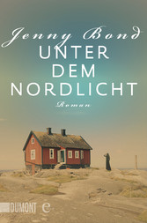 Unter dem Nordlicht