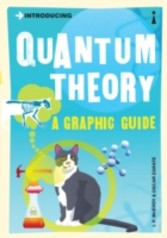 Introducing Quantum Theory