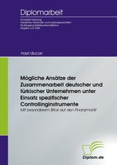 Mögliche Ansätze der Zusammenarbeit deutscher und türkischer Unternehmen unter Einsatz spezifischer Controllinginstrumente