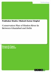 Conservation Plan of Hindon River In Between Ghaziabad and Delhi