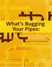 What's Bugging Your Pipes