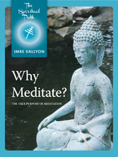 Why Meditate?