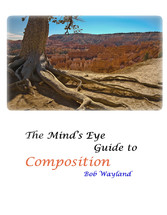 The Mind's Eye Guide to Composition: Book One