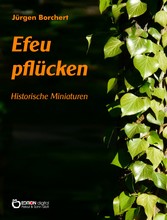 Efeu pflücken