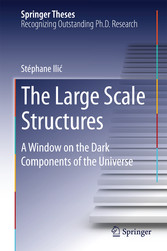 The Large Scale Structures