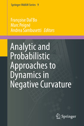 Analytic and Probabilistic Approaches to Dynamics in Negative Curvature