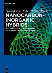 Nanocarbon-Inorganic Hybrids