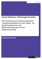 Die Einordnung des Expertenstandards 'Dekubitusprophylaxe in der Pflege' als Qualitätsinstrument und Rahmenbedingungen bei der Implementierung