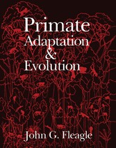 Primate Adaptation and Evolution