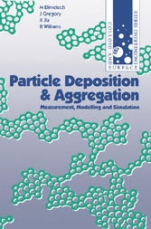 Particle Deposition and Aggregation