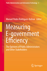 Measuring E-government Efficiency