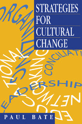 Strategies for Cultural Change