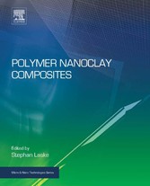 Polymer Nanoclay Composites