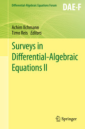 Surveys in Differential-Algebraic Equations II