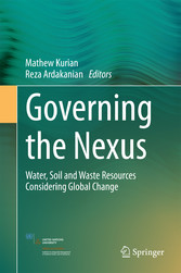 Governing the Nexus