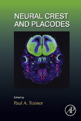 Neural Crest and Placodes