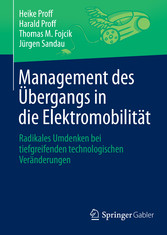 Management des Übergangs in die Elektromobilität