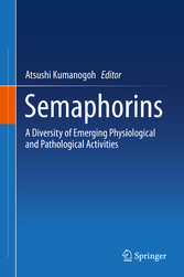 Semaphorins