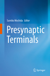 Presynaptic Terminals